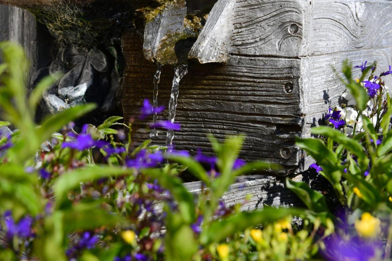 Landhotel Jungbrunnen Bad Brambach Exteriör bild